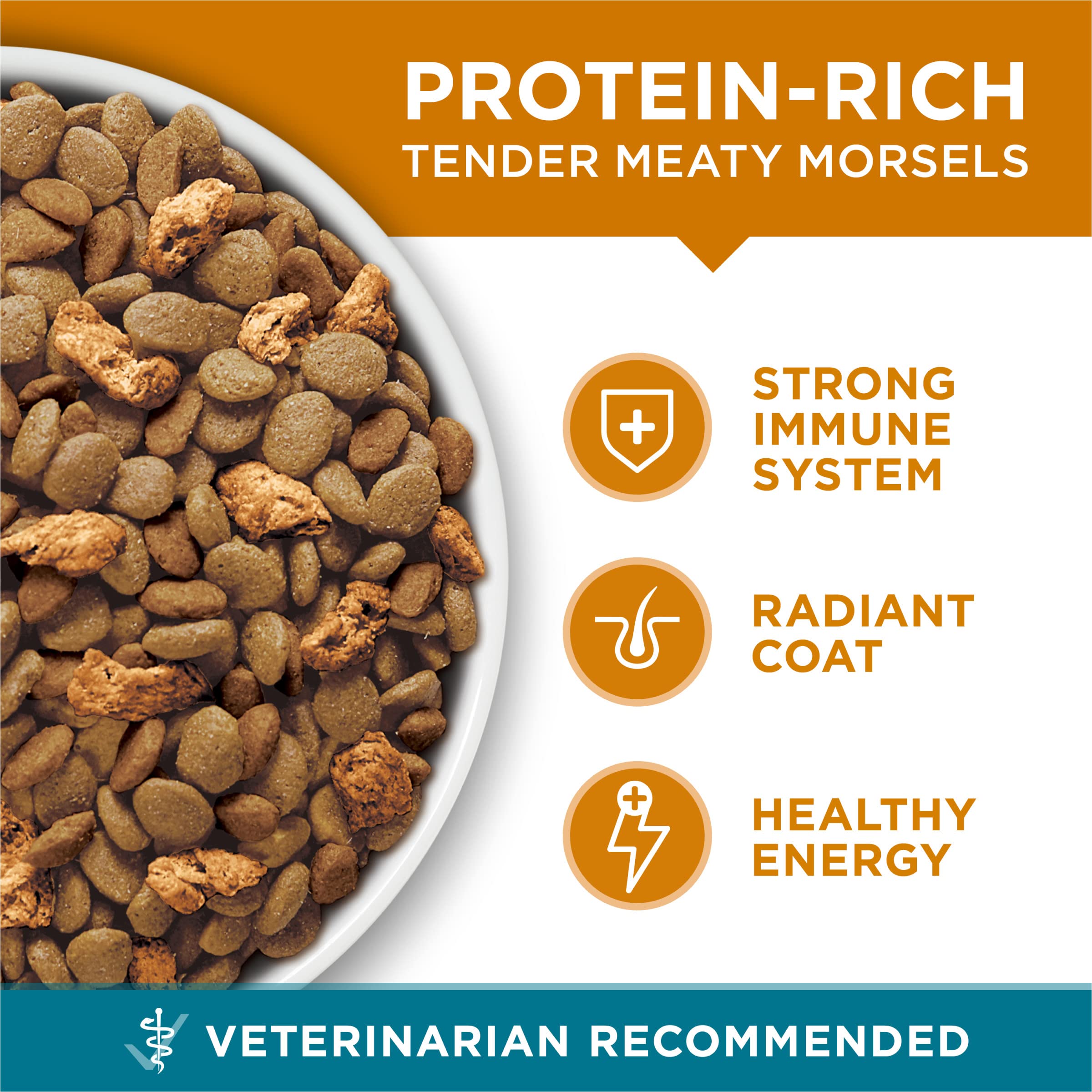 illustrated nutrient icons on Purina ONE label showing vitamins and antioxidants