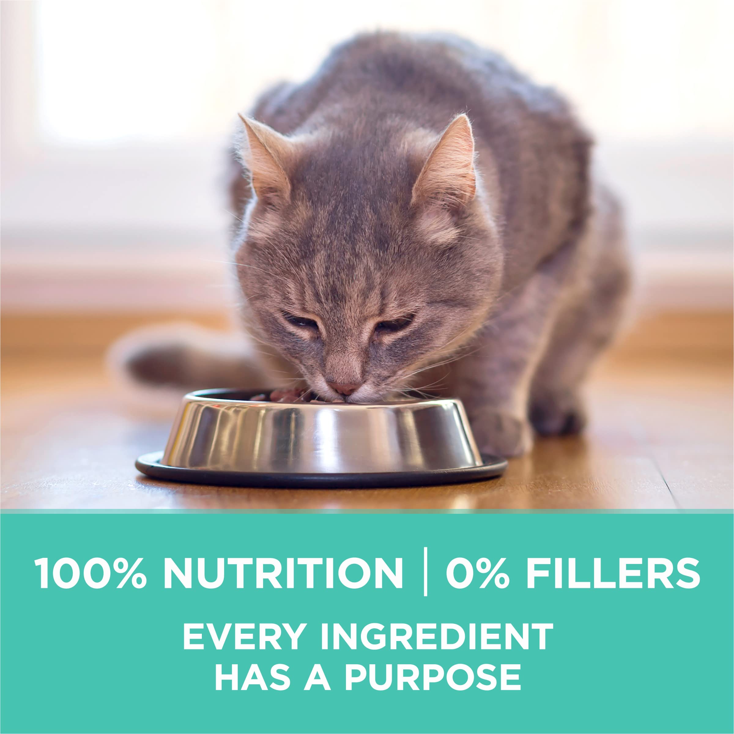 Purina ONE packaging back showing feeding guidelines and ingredients