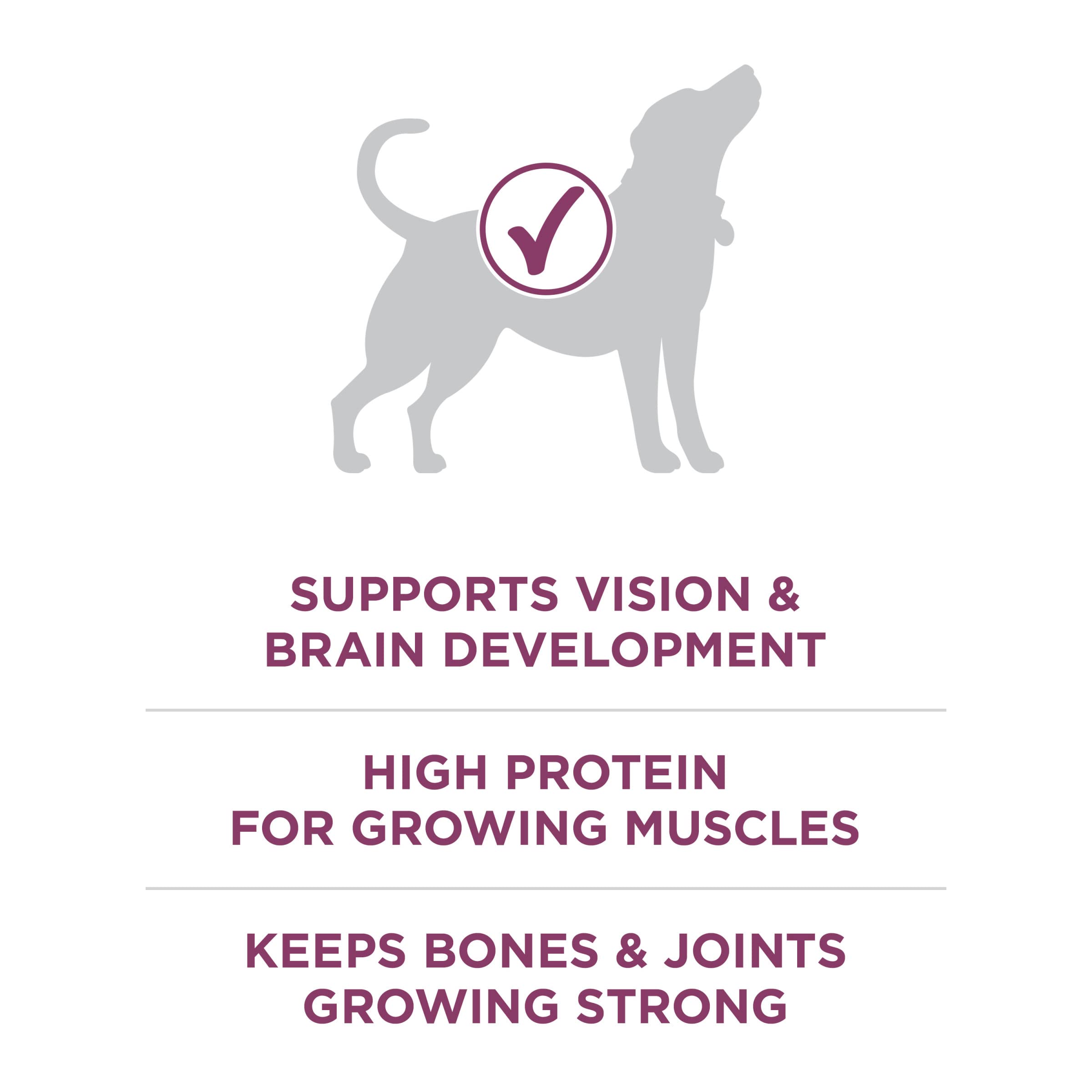 Purina ONE crunchy kibble and meaty morsels showing appealing texture