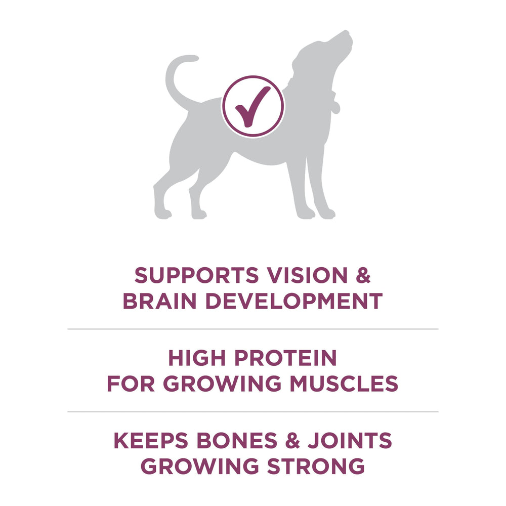 Purina ONE crunchy kibble and meaty morsels showing appealing texture