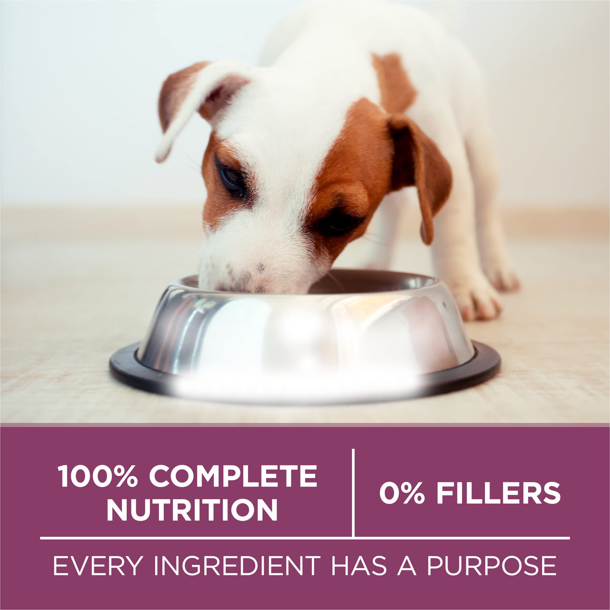 Nutrition label on Purina ONE bag highlighting complete balanced nutrients