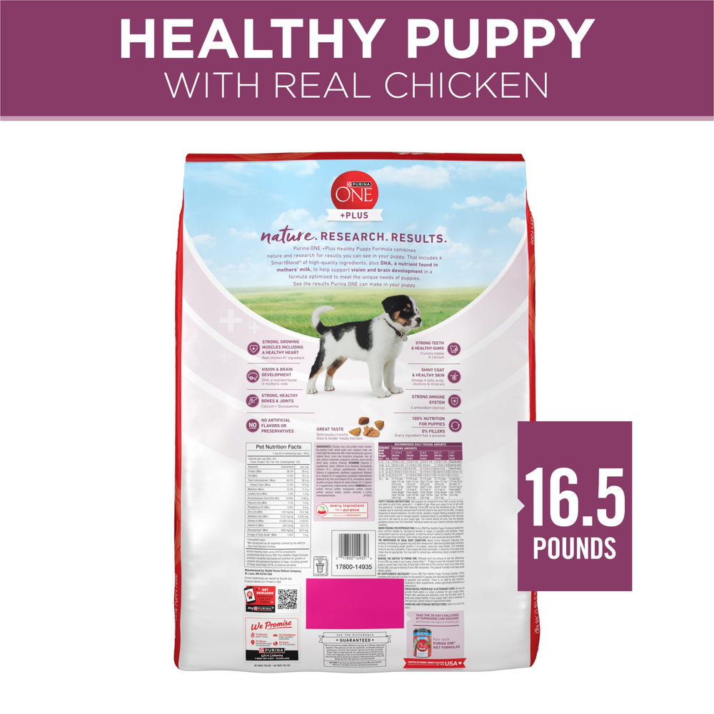 Puppy playing outdoors after a meal illustrating healthy energy and coat