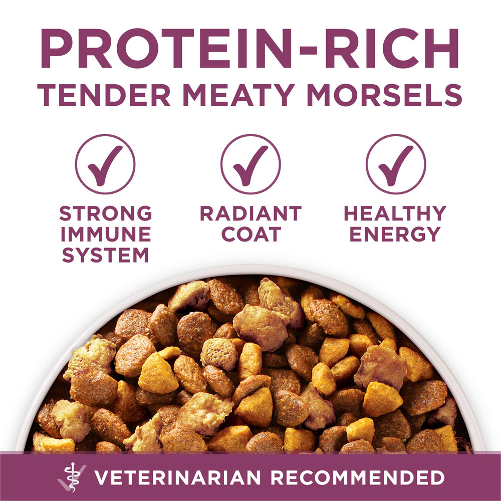 16.5 lb Purina ONE bag beside common items showing real-world scale