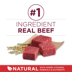Tender morsels detail in Purina ONE showing palatable texture