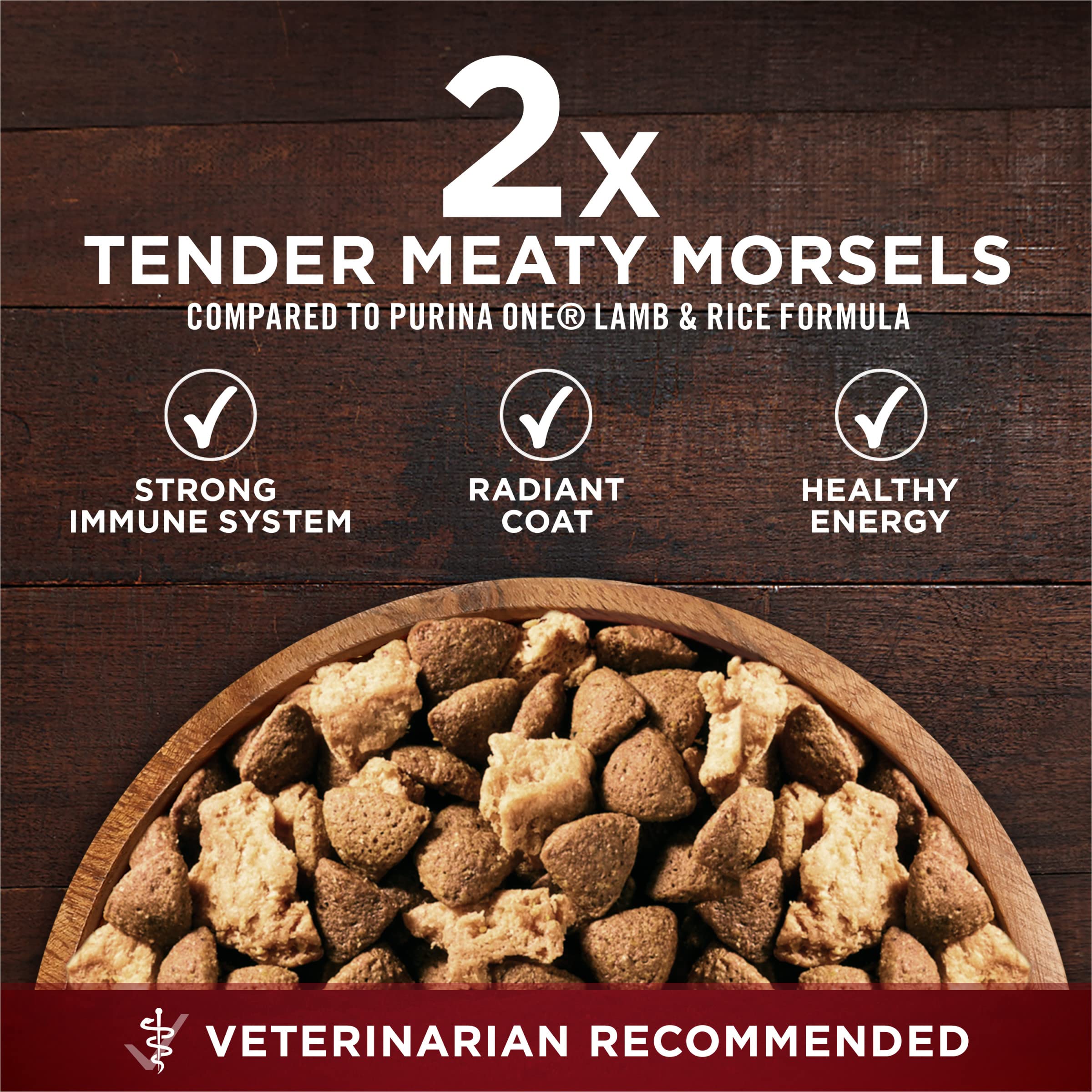 Purina ONE adult dog eating from bowl showing palatable recipe