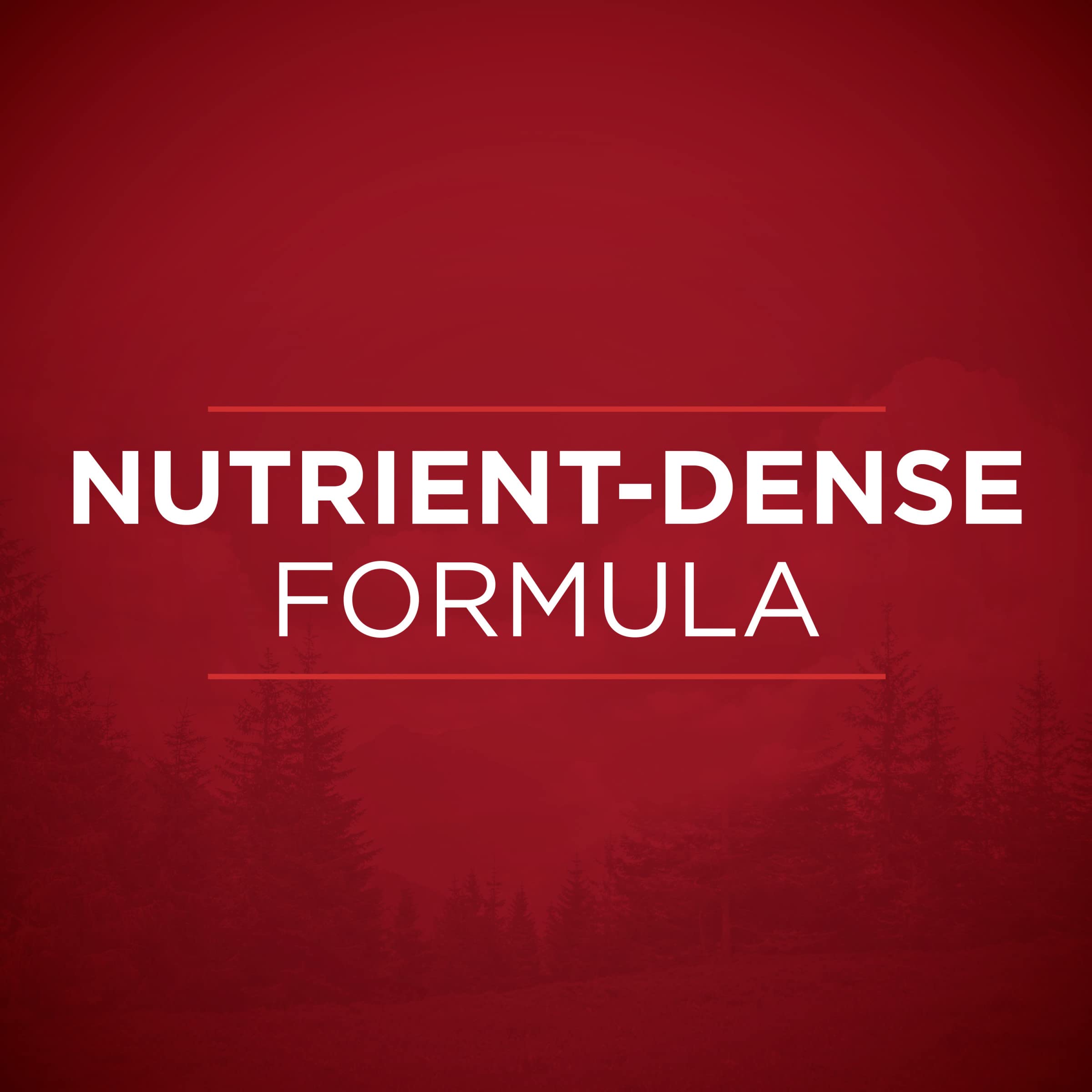Purina ONE feeding scene with adult dog eating to show mealtime suitability