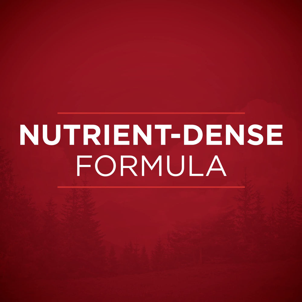 Purina ONE feeding scene with adult dog eating to show mealtime suitability
