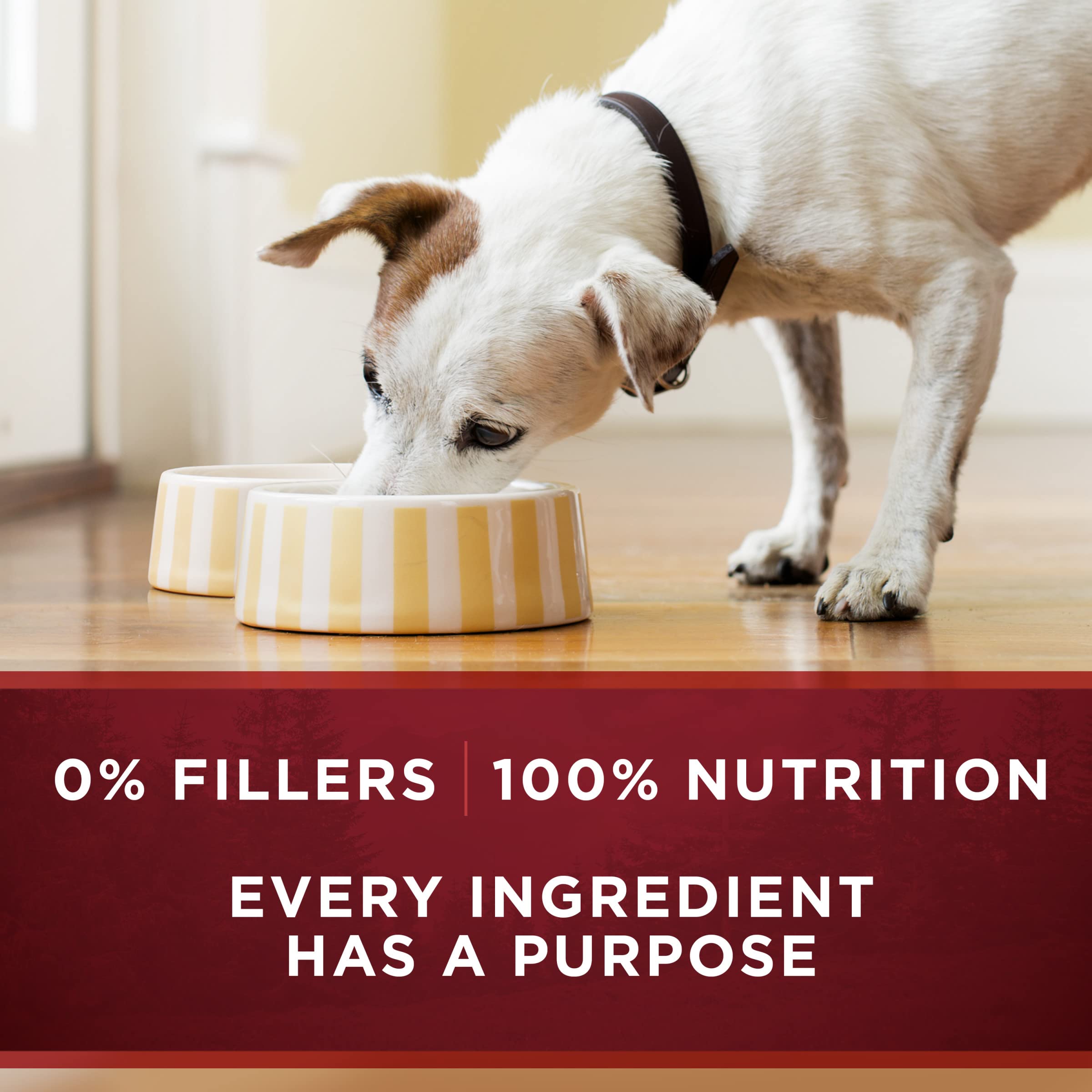 Portion suggestion on a scale demonstrating feeding control