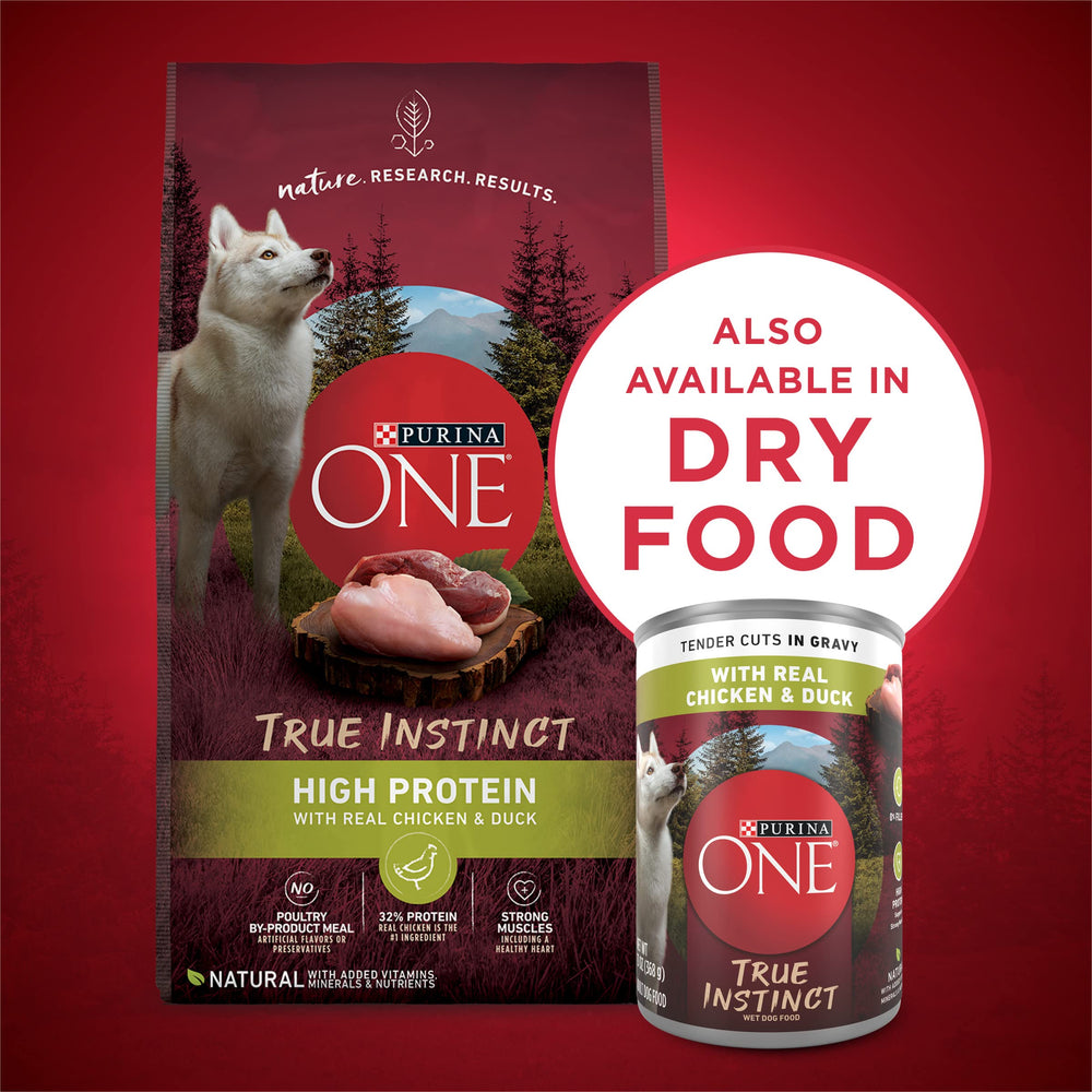 Purina ONE mixed with kibble showing topper use and enhanced meal acceptance
