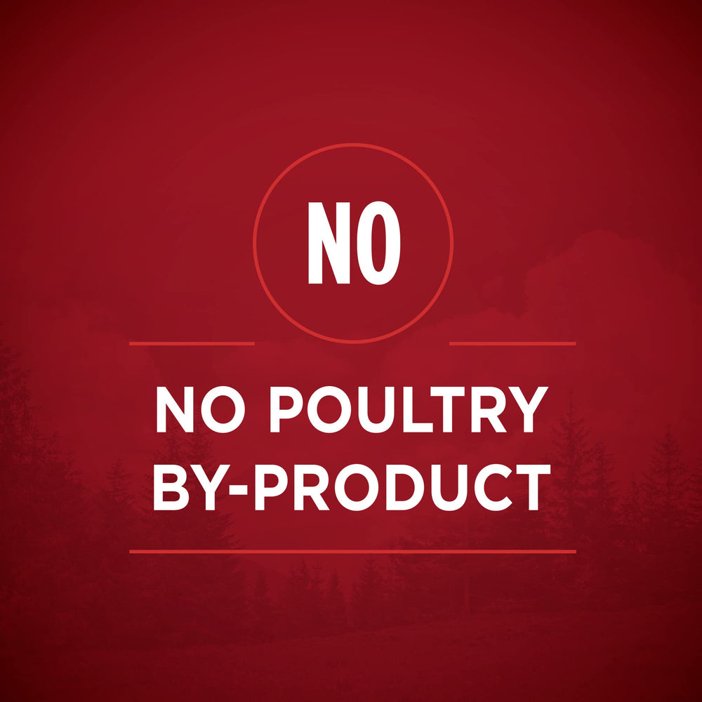 Purina ONE texture close-up showing gravy-coated tender cuts for palatability