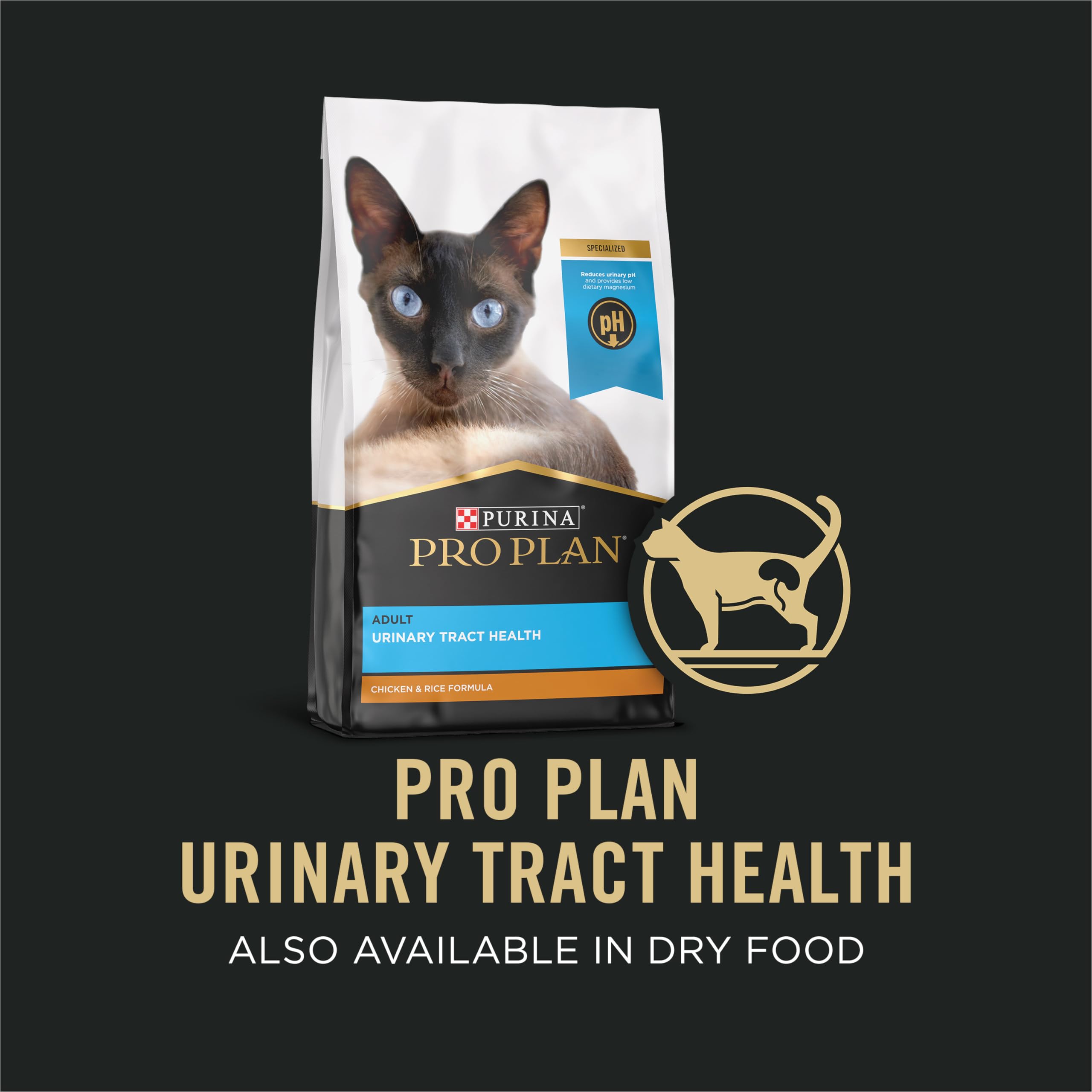 Purina Pro Plan pate texture close-up showing digestible smoothness