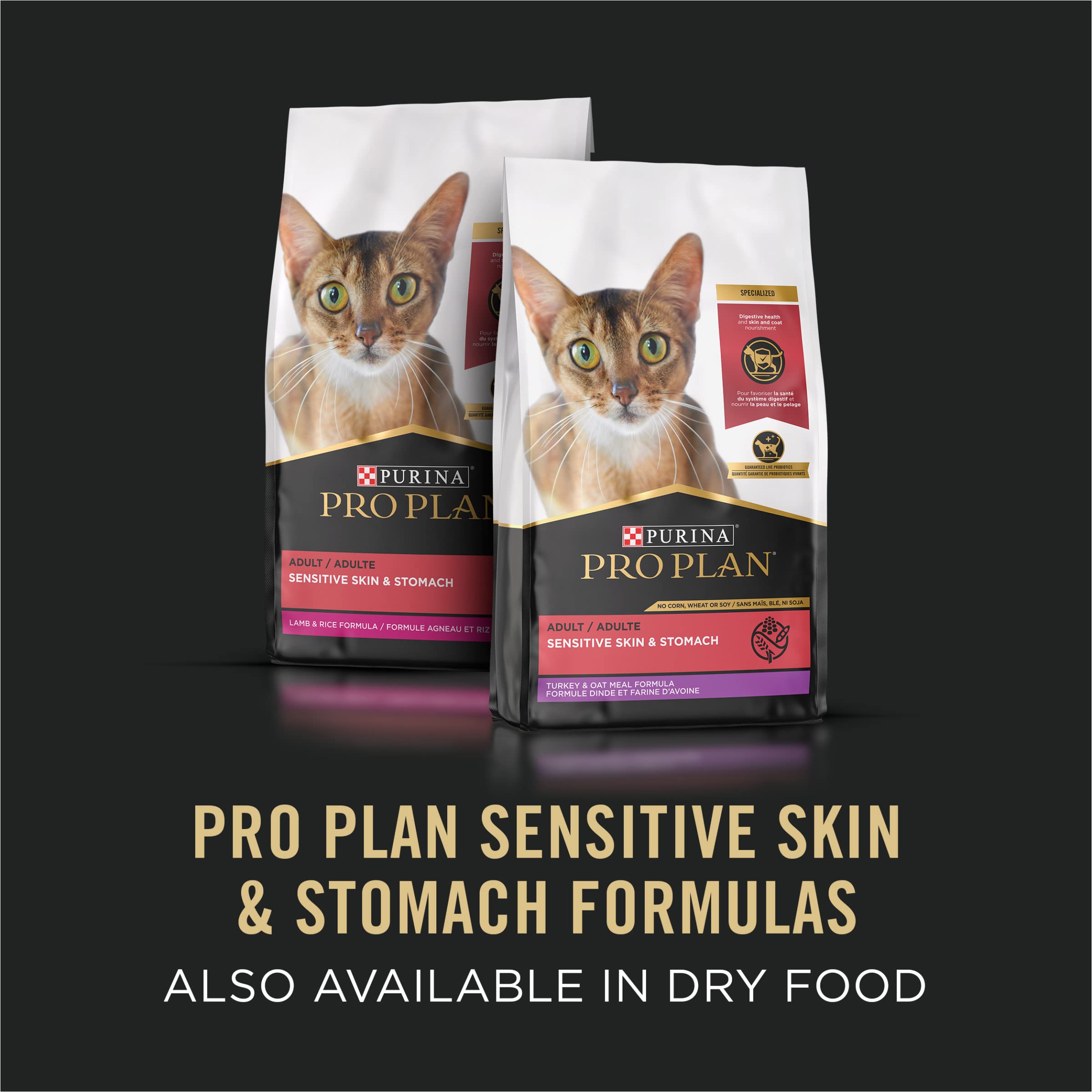 Purina Pro Plan cat eating happily showing acceptance and enjoyment