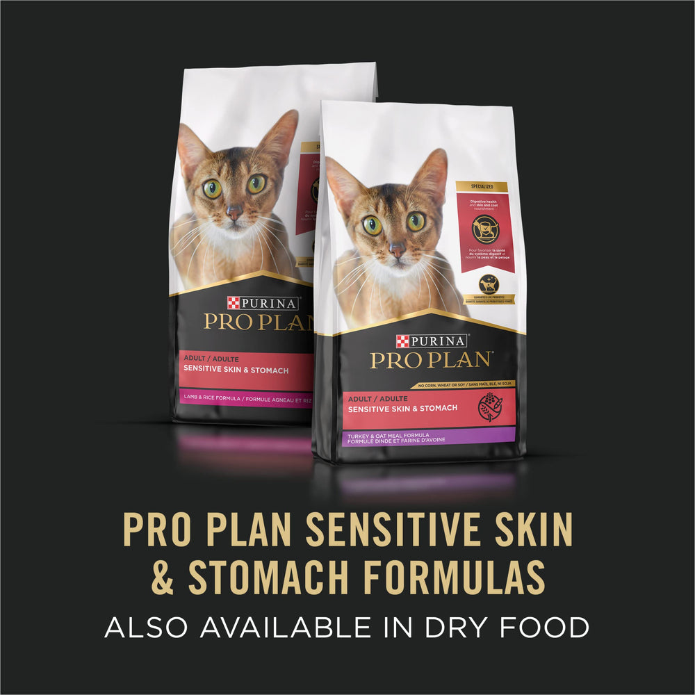 Purina Pro Plan cat eating happily showing acceptance and enjoyment