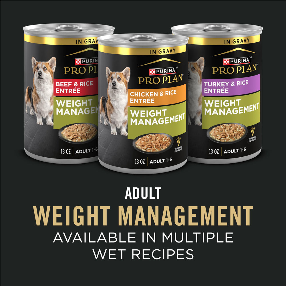 Purina Pro Plan digestion visual with prebiotic fiber graphic supporting gut health