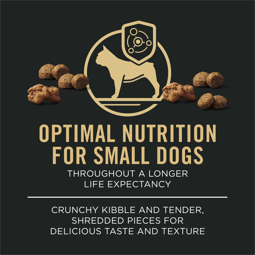 purina pro plan small dog eating from bowl demonstrating palatability and enjoyment