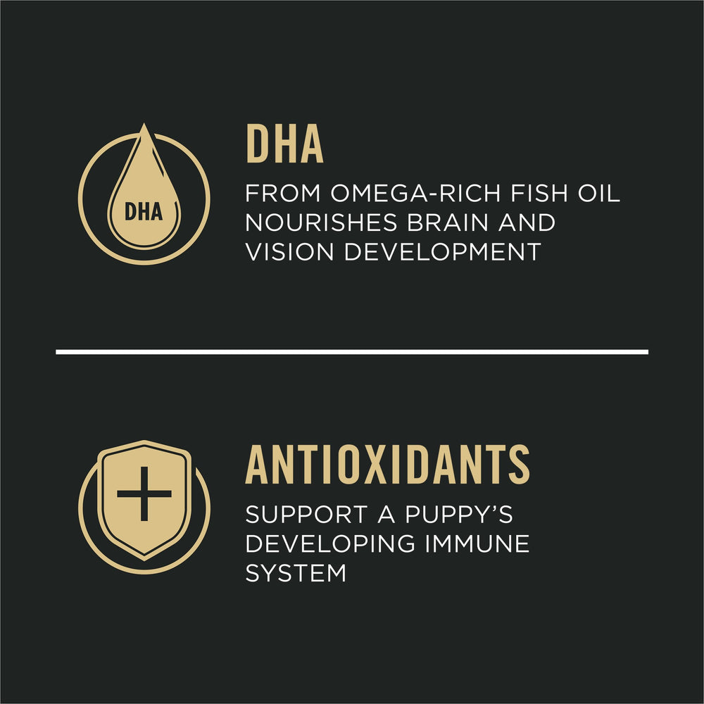 Purina Pro Plan close-up of real lamb ingredient highlighting protein