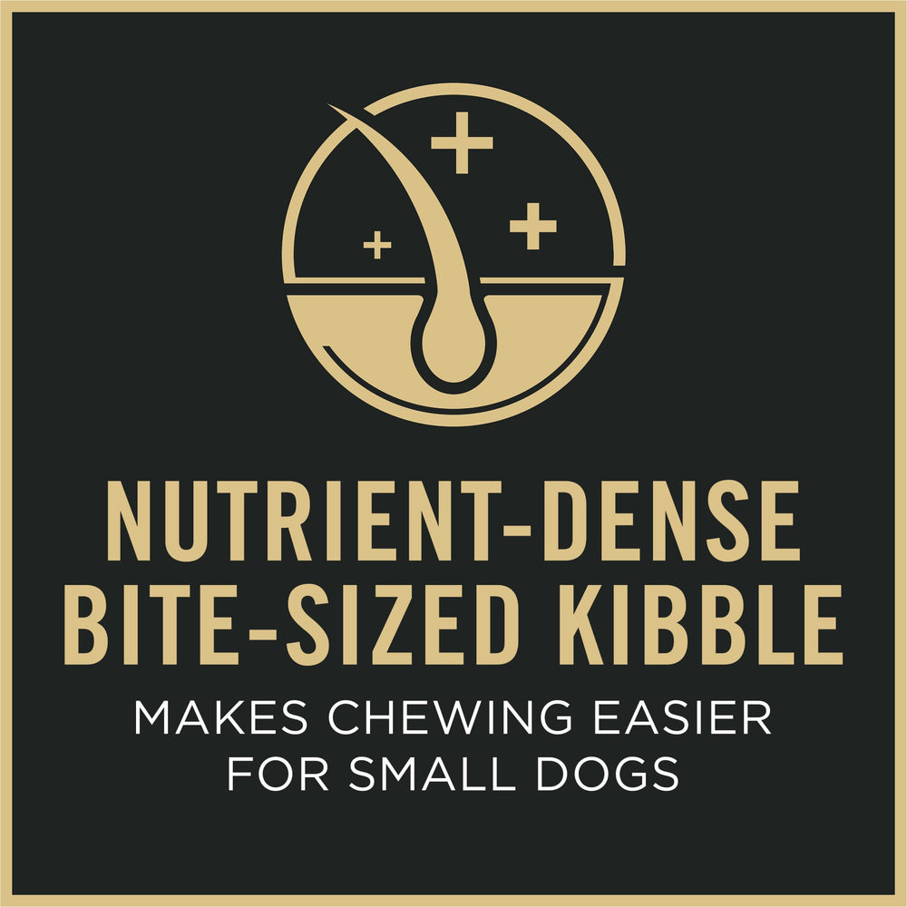 Purina Pro Plan real chicken ingredient close-up, high-quality protein source