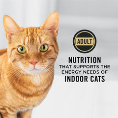 Purina Pro Plan close-up of kibble texture highlighting high-protein nutrition