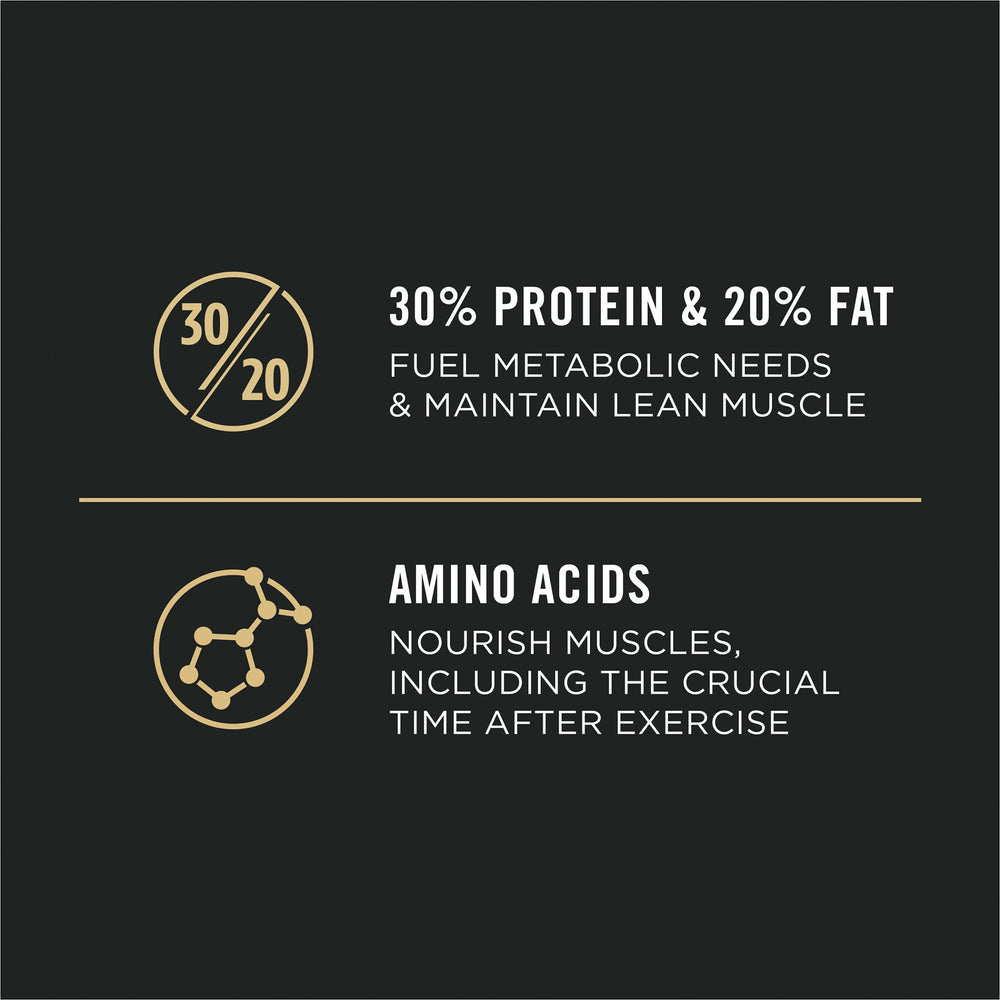 Close-up of Purina Pro Plan kibble texture highlighting digestible protein