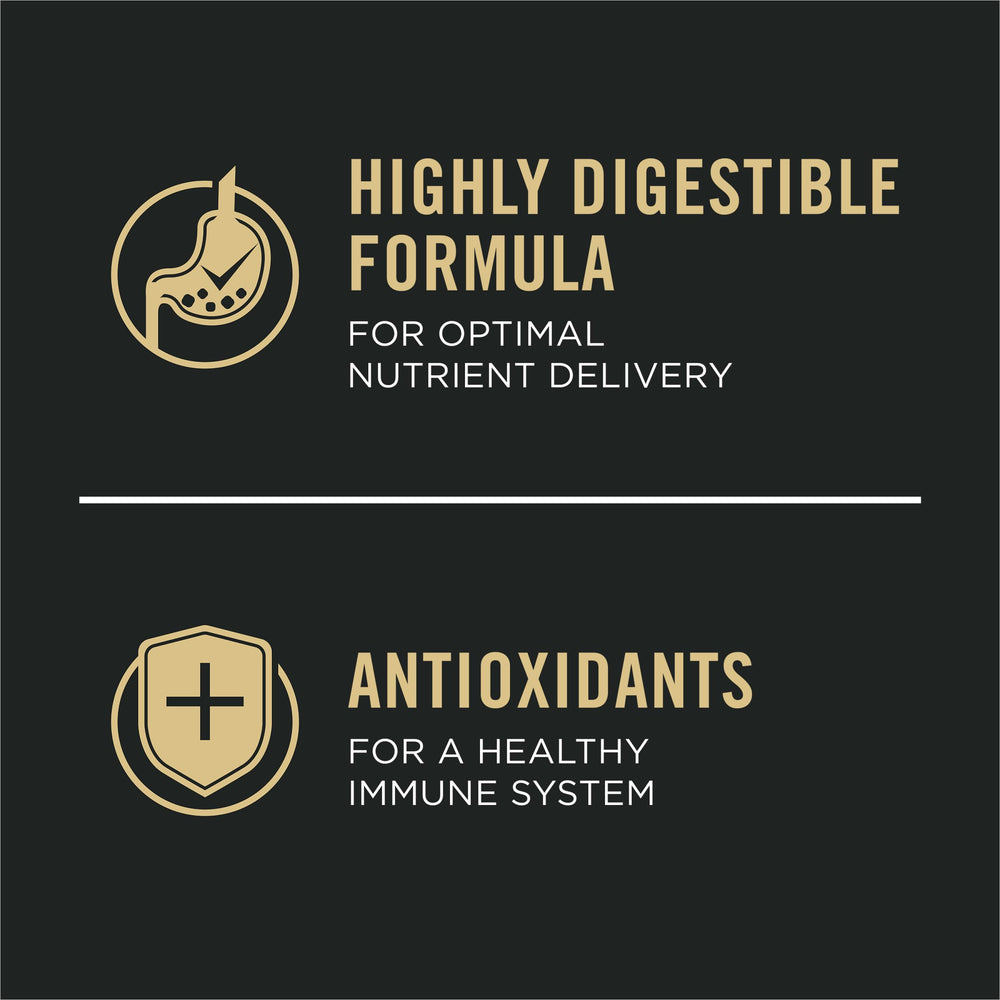 Purina Pro Plan kibble size next to hand demonstrating manageable bite size