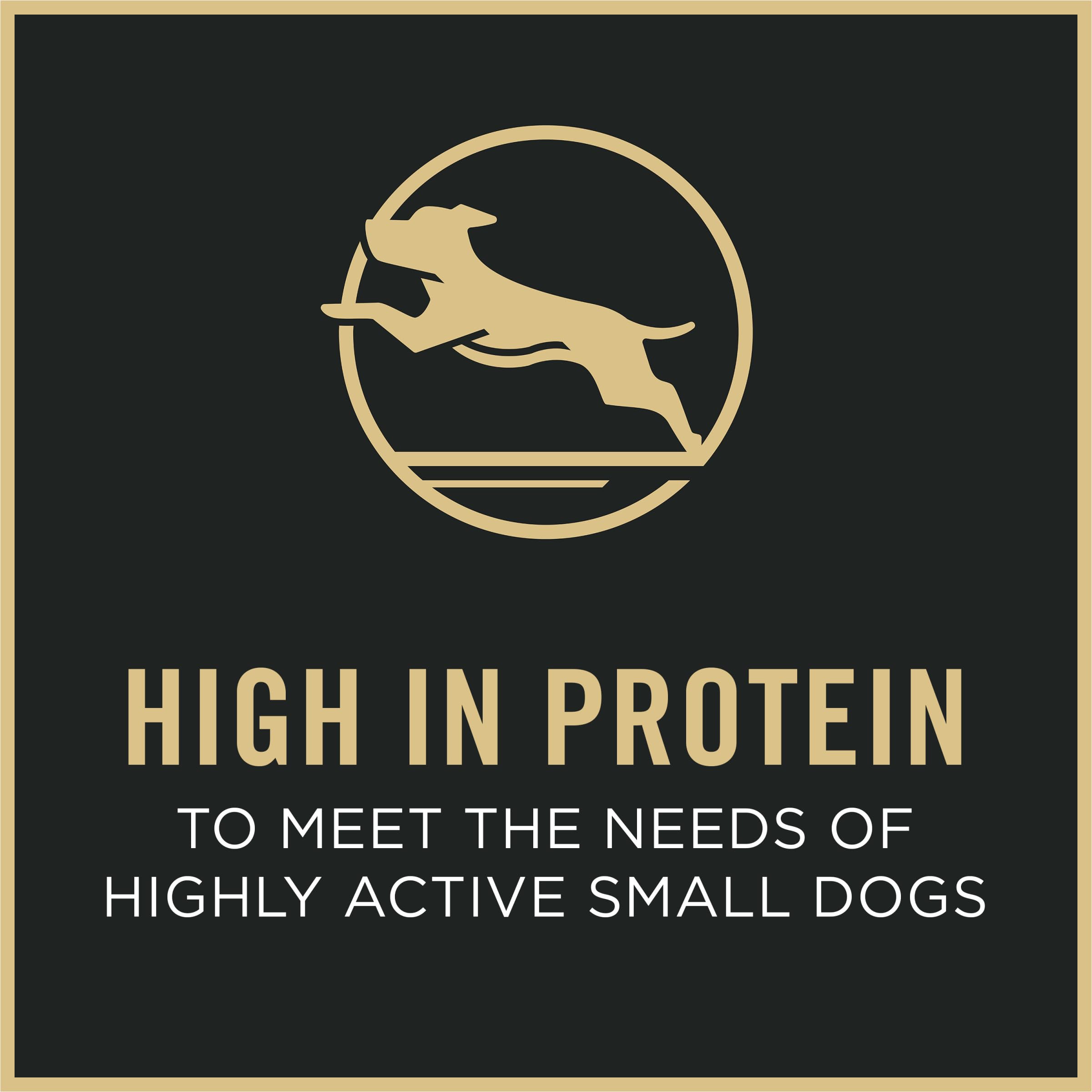 Purina Pro Plan kibble beside a coin showing small-breed appropriate size