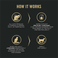 Purina Pro Plan close-up of kibble texture and crunchy benefit