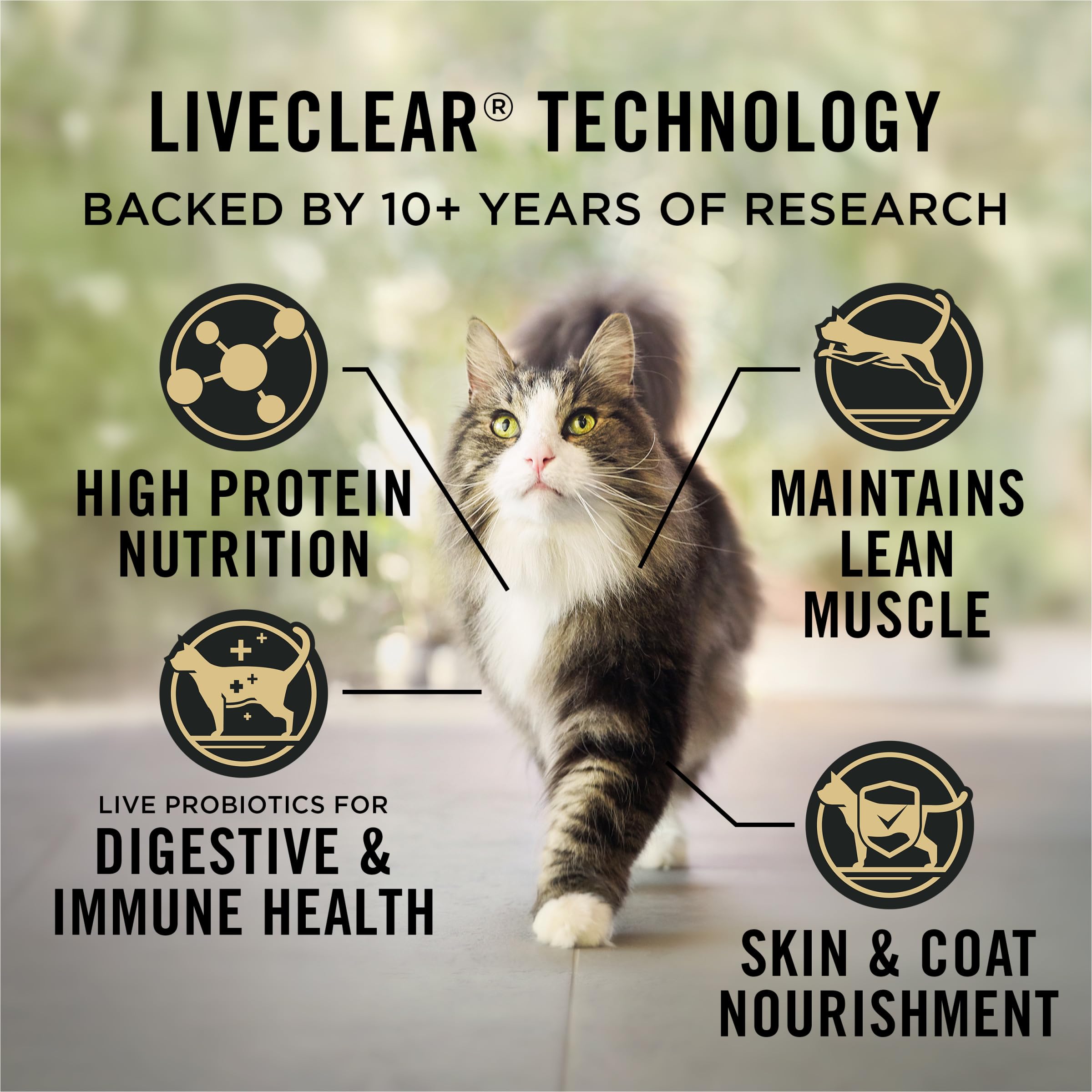 Purina Pro Plan turkey ingredient shot highlighting real turkey protein