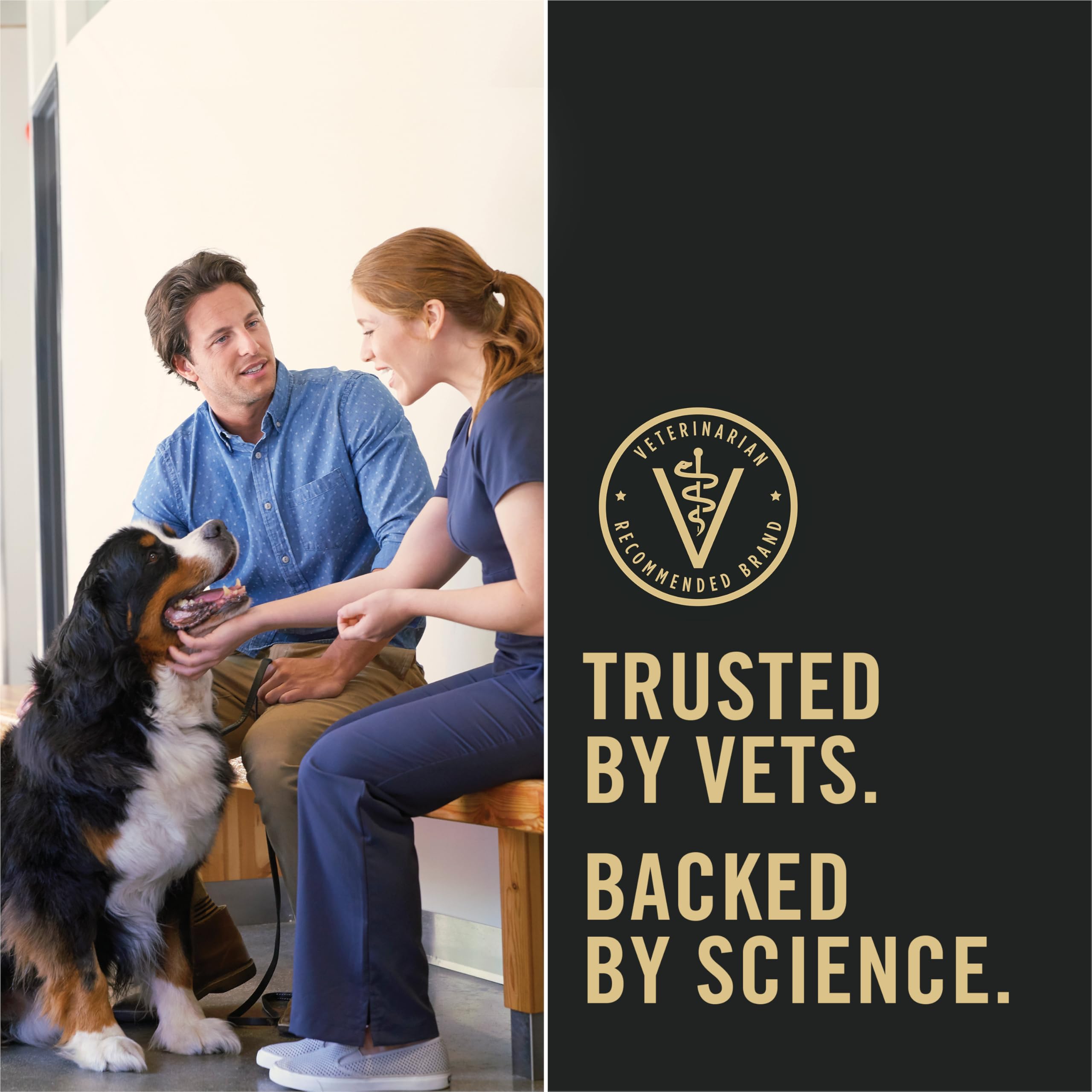 Purina Pro Plan probiotic capsules visual indicating digestive support