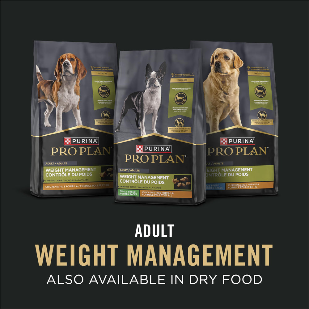Purina Pro Plan 13 oz can beside common objects showing size and portion