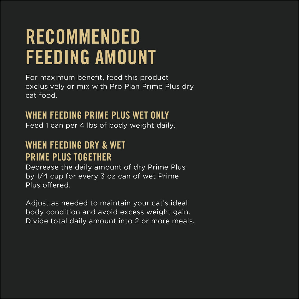 Purina Pro Plan senior cat eating from bowl illustrating palatability and appetite support