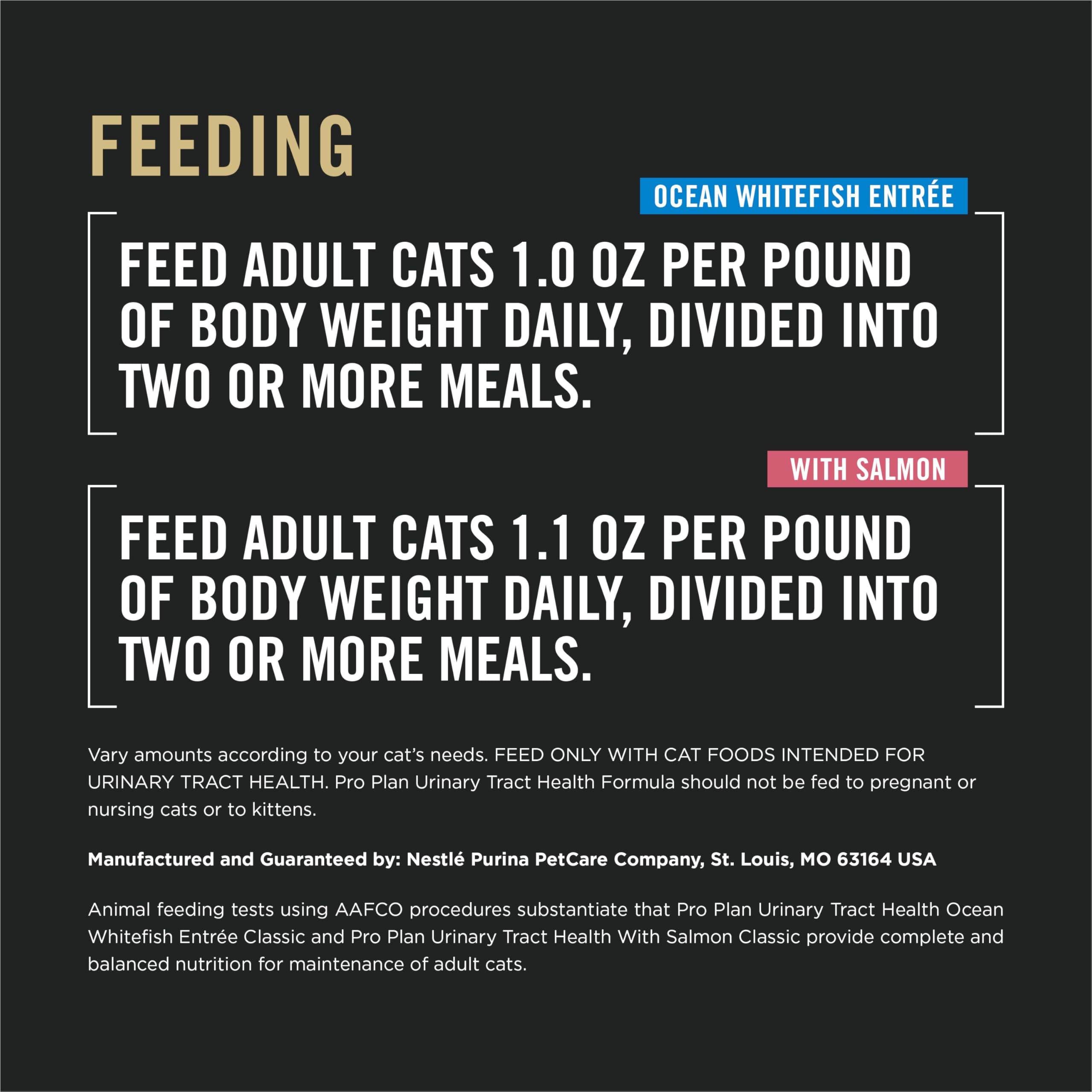 Purina Pro Plan served in bowl in home setting showing meal presentation and hydration