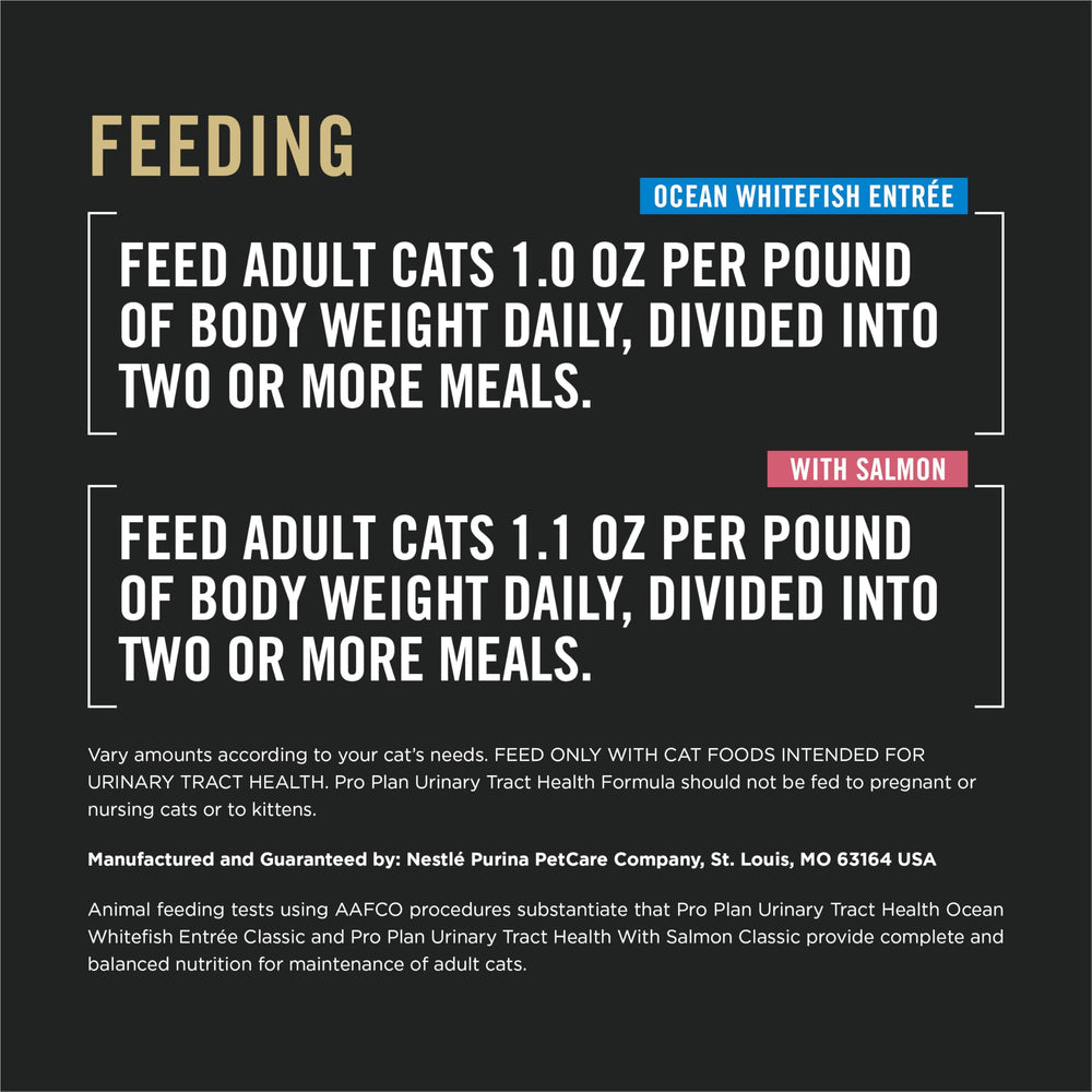 Purina Pro Plan served in bowl in home setting showing meal presentation and hydration