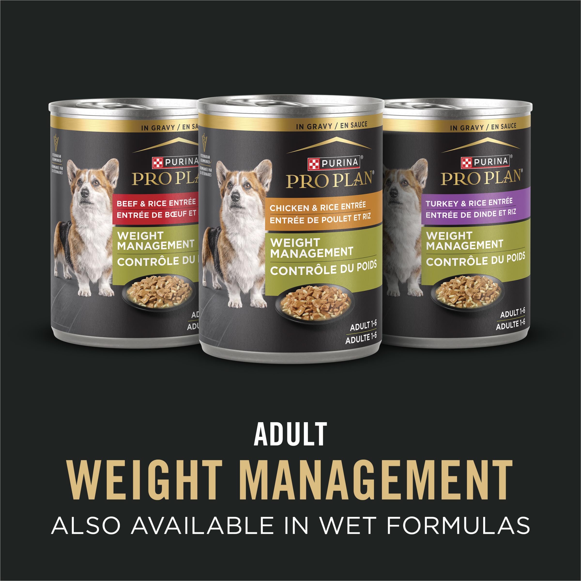 Purina Pro Plan size and scale comparison with a ruler showing bag dimensions