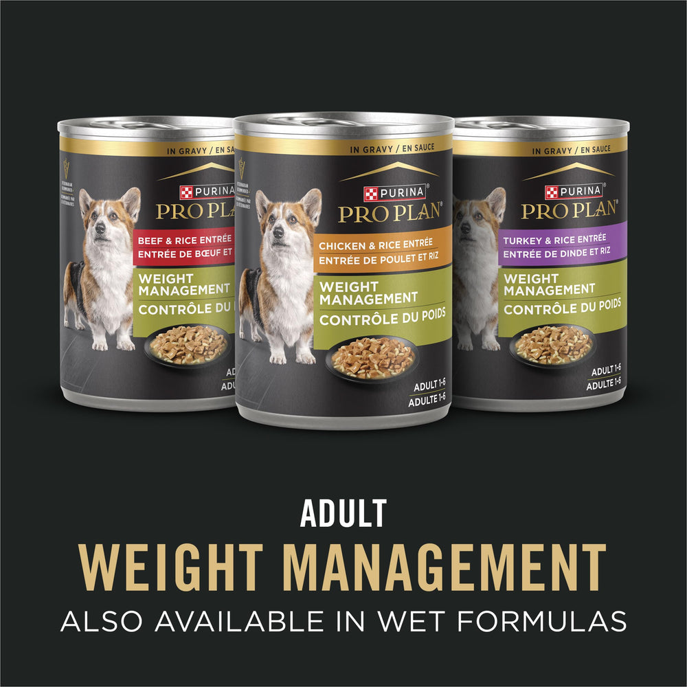 Purina Pro Plan size and scale comparison with a ruler showing bag dimensions