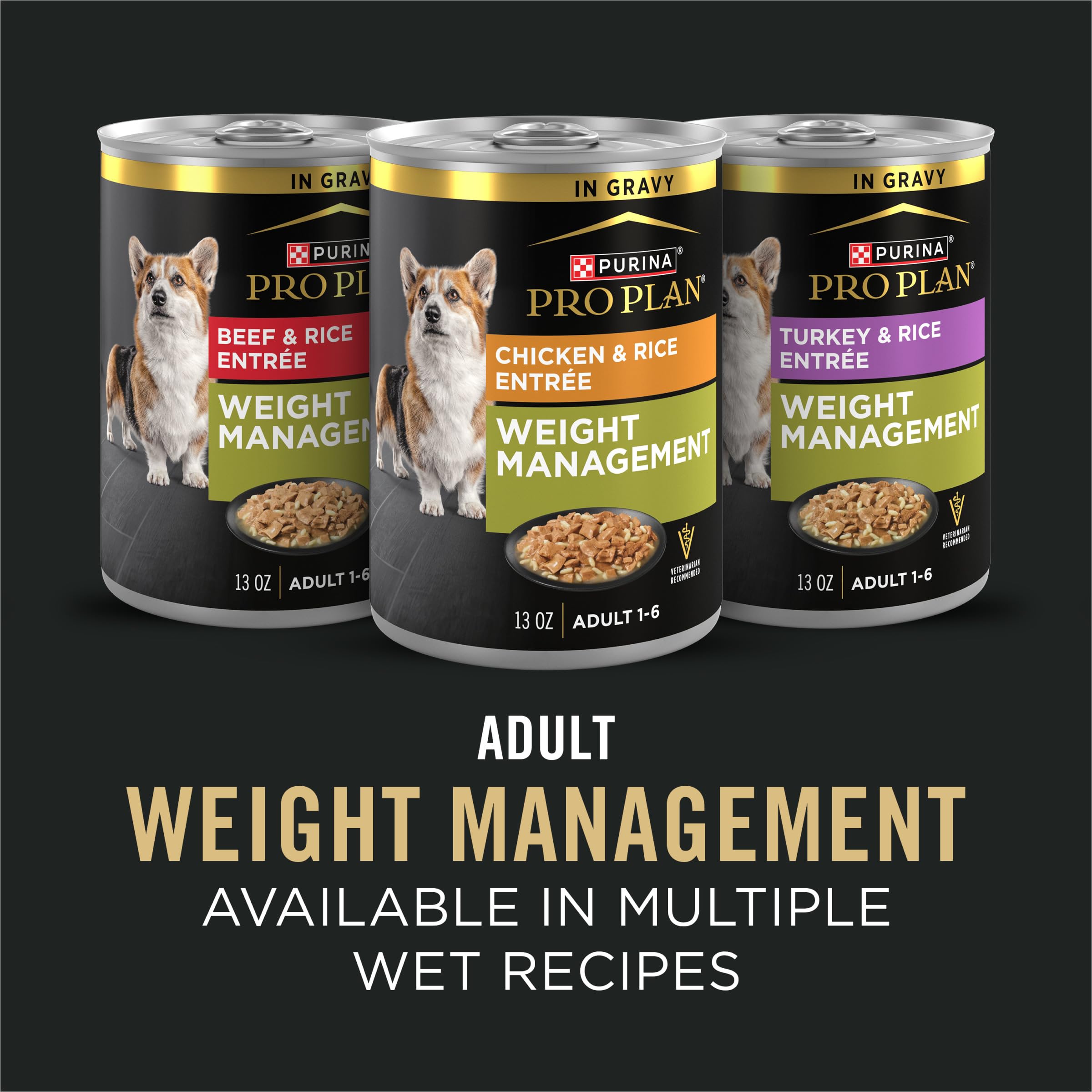 Purina Pro Plan 18 lb bag next to common items showing scale