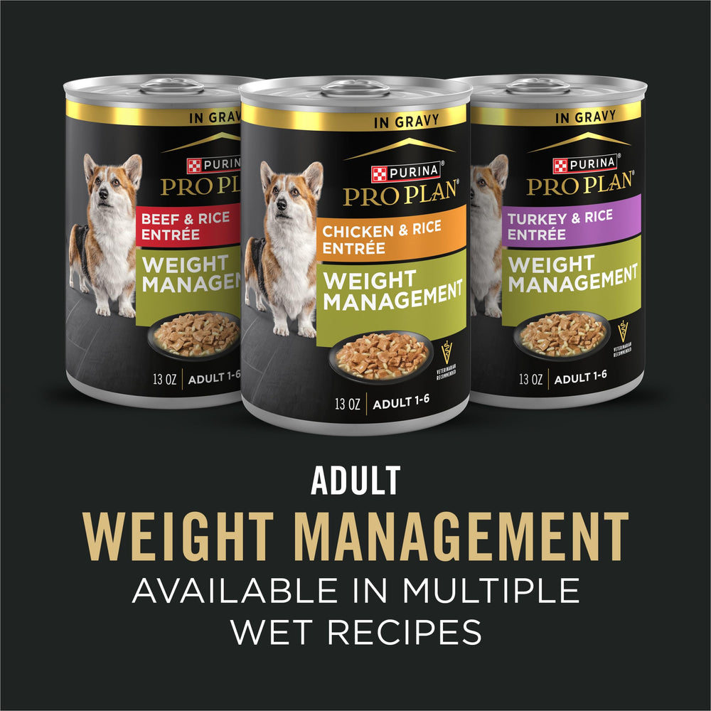 Purina Pro Plan 18 lb bag next to common items showing scale