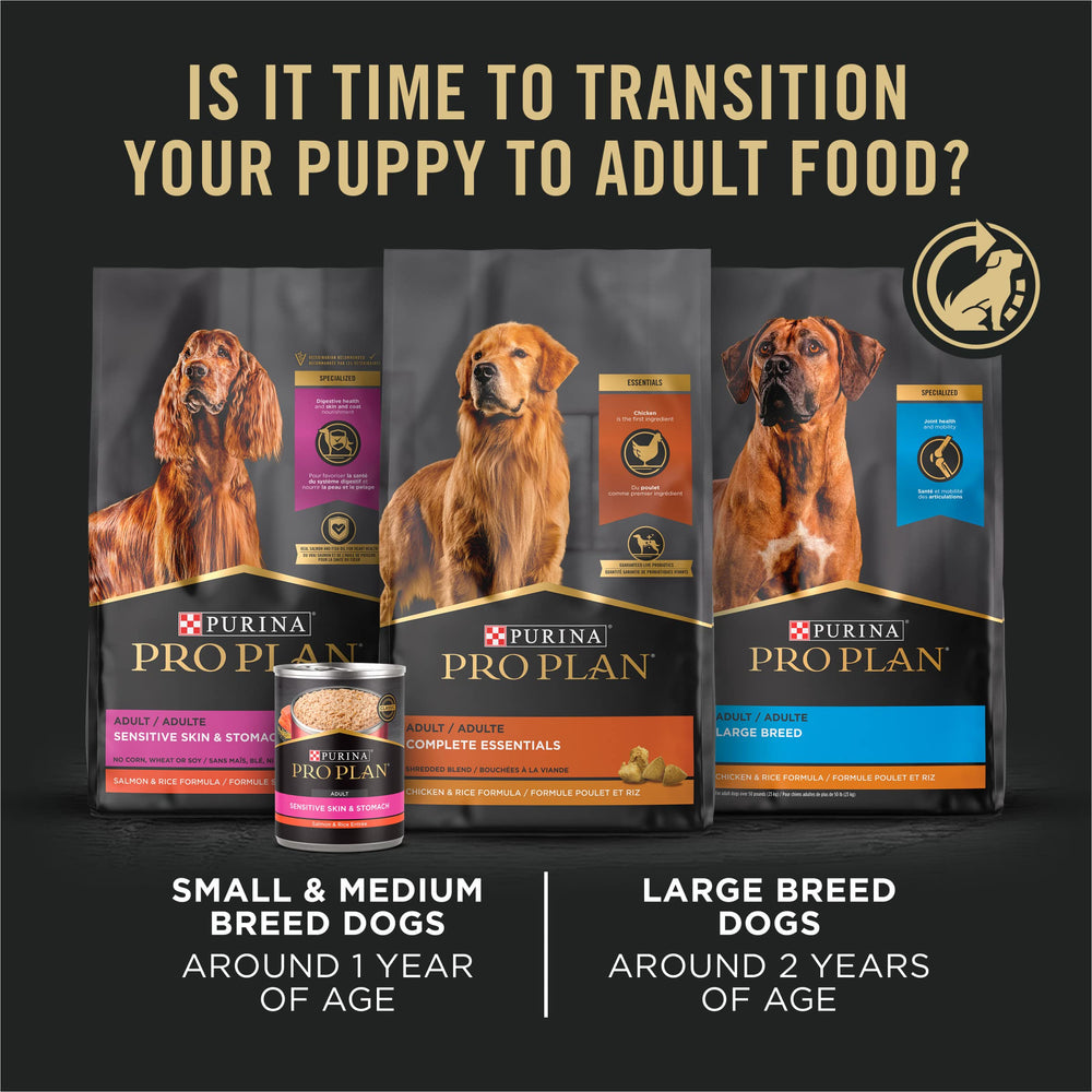 Purina Pro Plan shiny-coated puppy showing skin and coat benefit