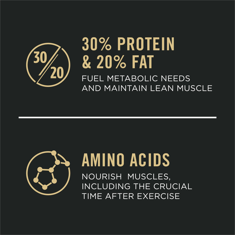Close-up of Purina Pro Plan kibble texture for palatability and protein