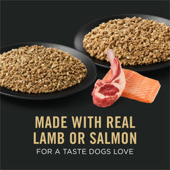 Purina Pro Plan close-up of salmon recipe texture for easy digestion