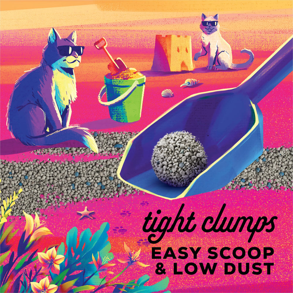 Purina Tidy Cats low-dust texture reducing airborne particles