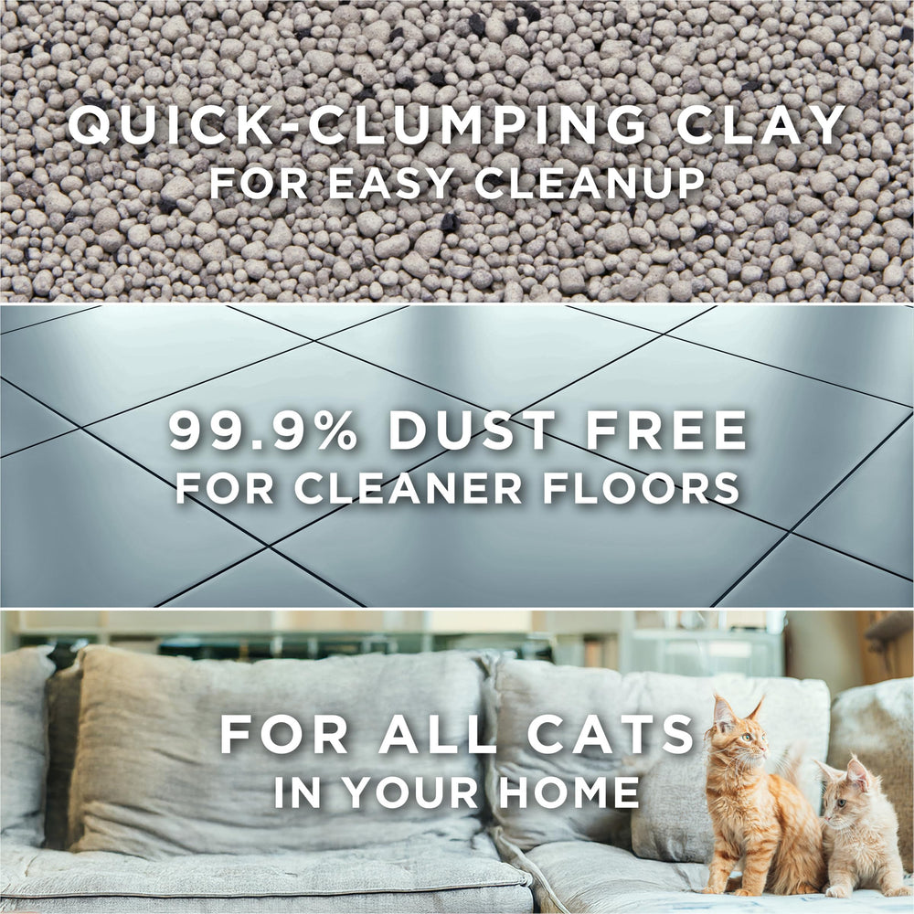 Purina Tidy Cats litter on scoop highlighting firm clumps for cleaning