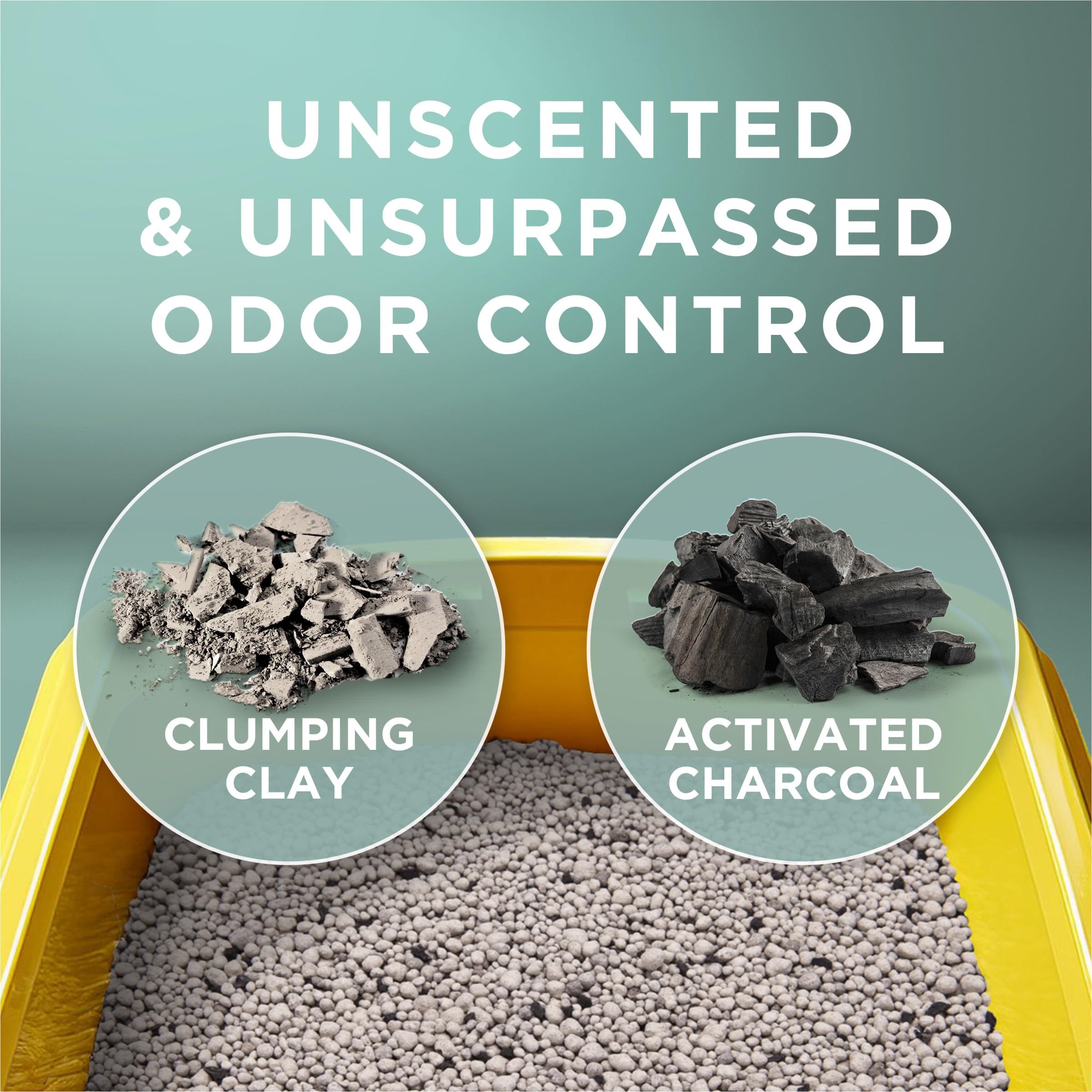 Purina Tidy Cats pouring with minimal dust to reduce mess