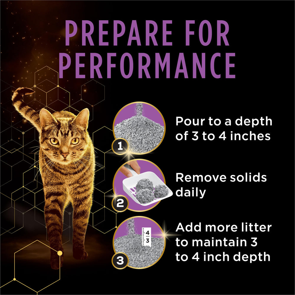 Purina Tidy Cats 22 lb size next to everyday items showing scale convenience