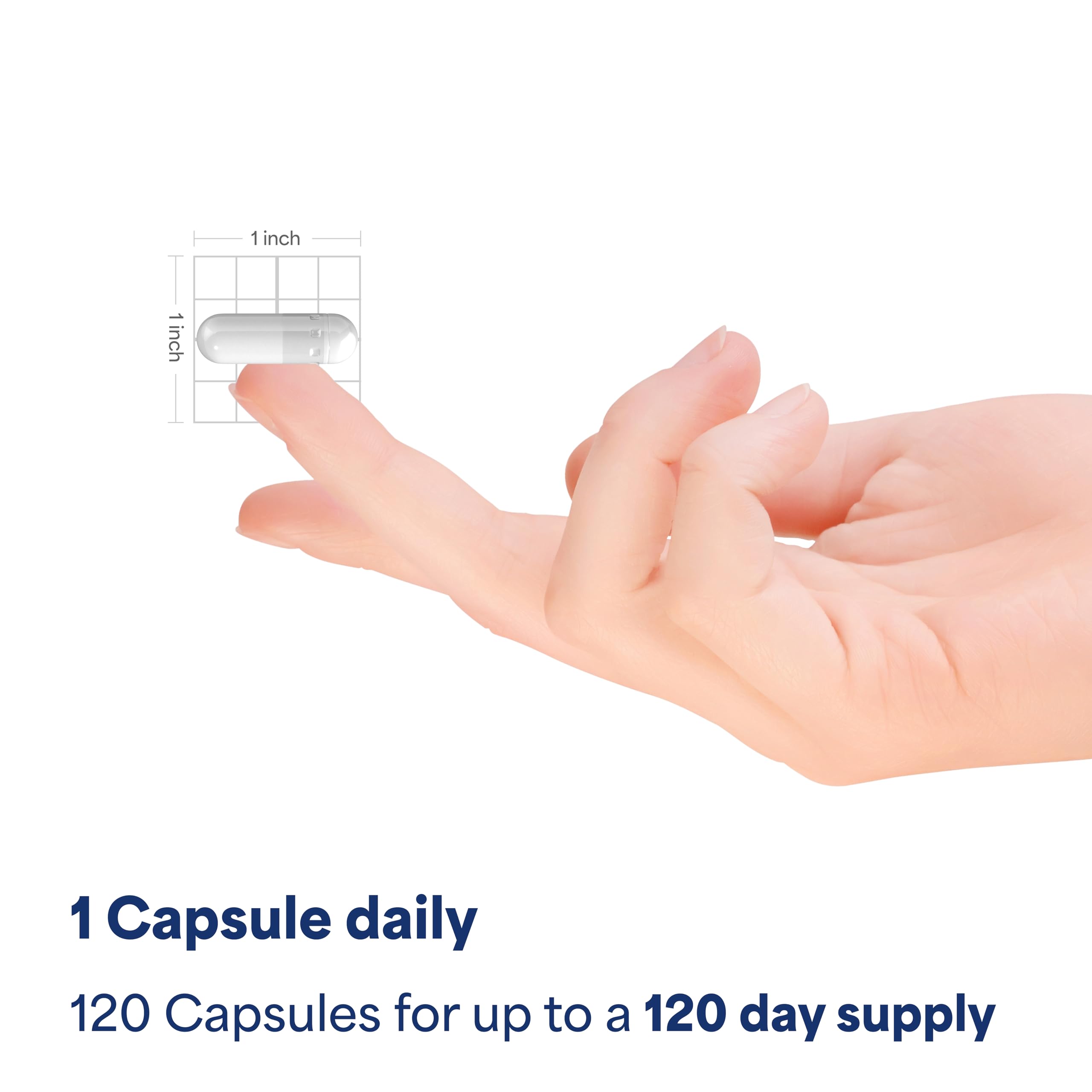 Puritan's Pride capsule in hand for scale and easy dosage visualization