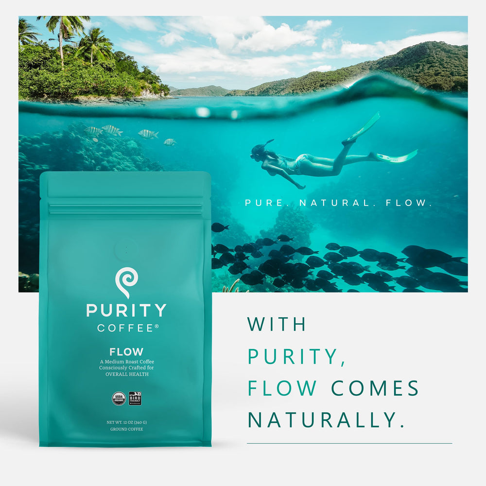 PURITY COFFEE bag held by hand for scale, demonstrates portable 12oz size