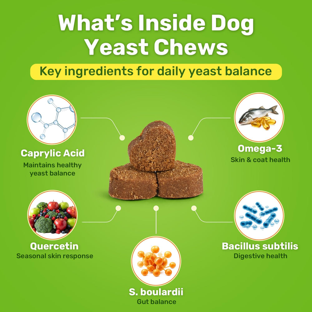 puyrzoe chew beside a dog paw demonstrating paw comfort support