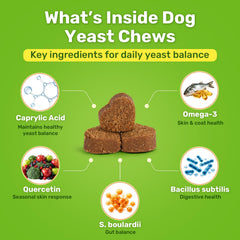 puyrzoe chew beside a dog paw demonstrating paw comfort support