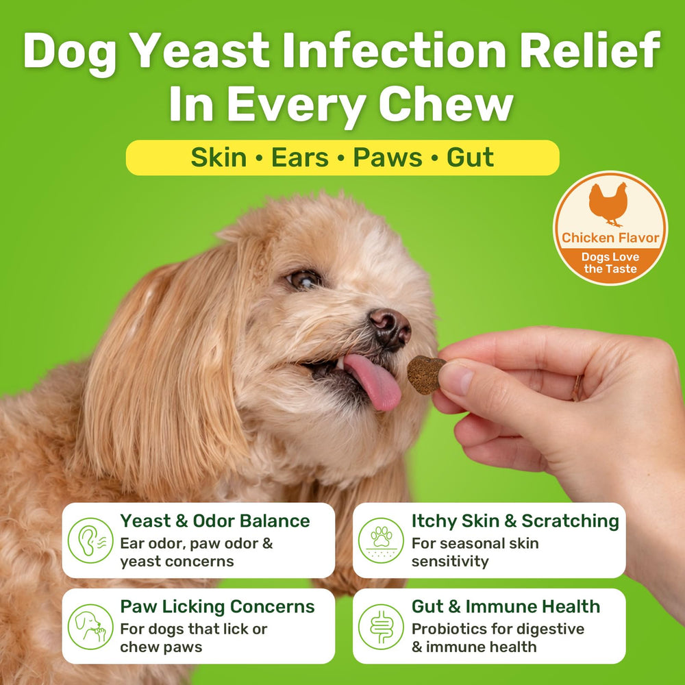 puyrzoe close-up of chew texture highlighting palatable soft treat