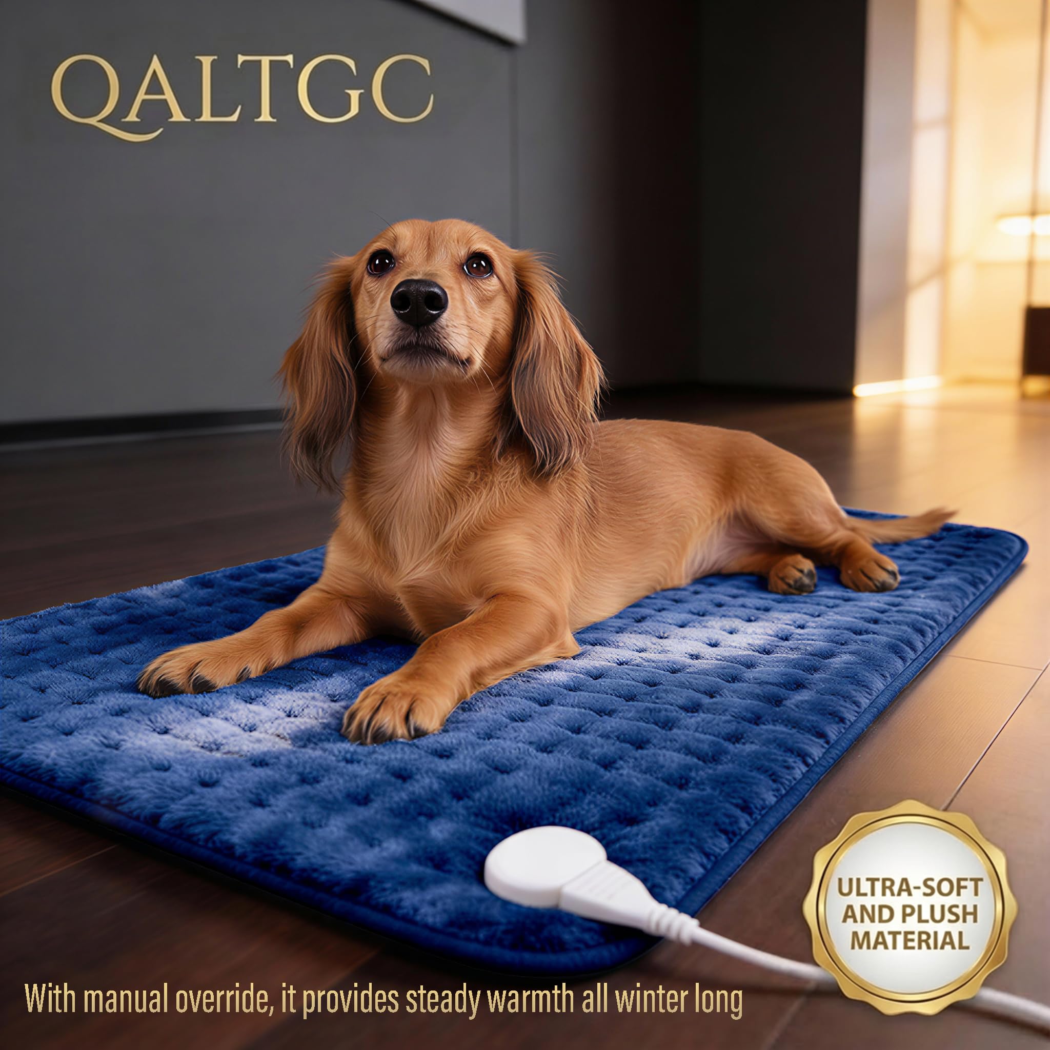 Qaltgc pad in use on lower back showing targeted soothing warmth