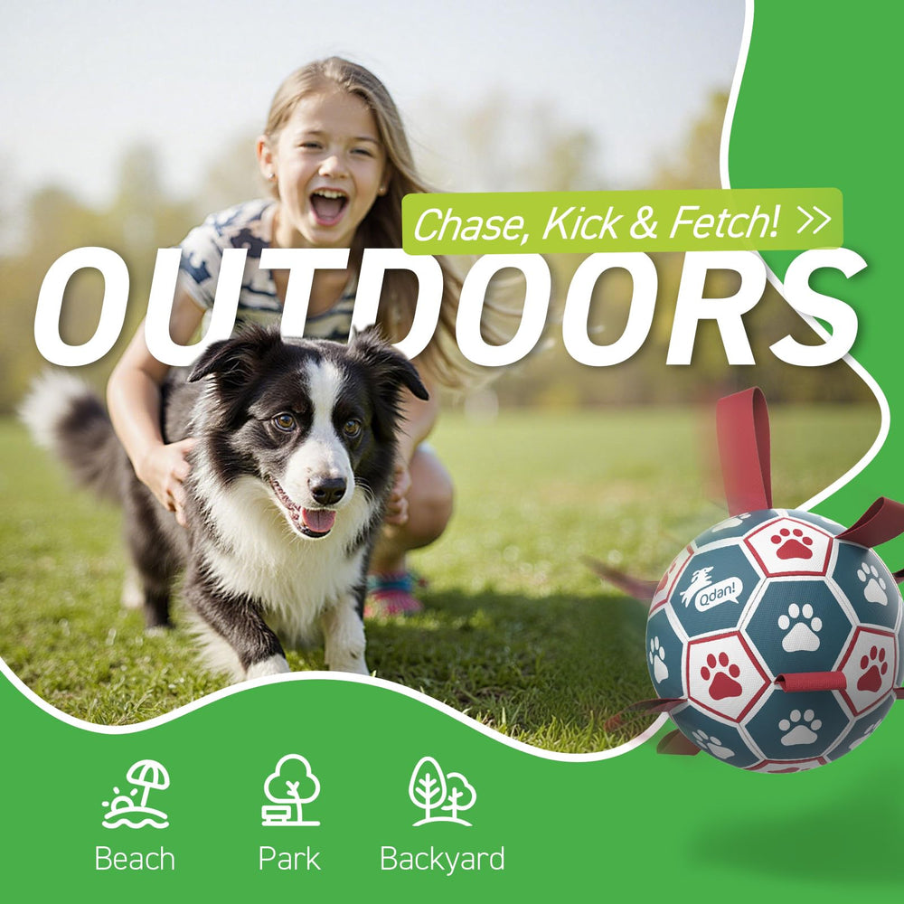 QDAN soccer ball in mid-air during dog fetch at park for active play